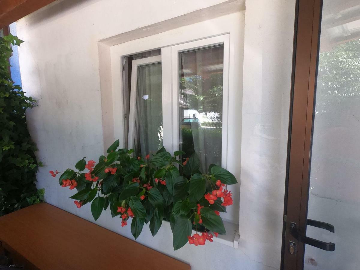 Fontana Apartment Bovec Exterior photo
